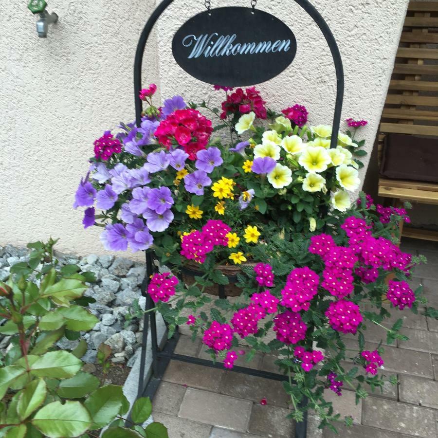 Hotel B&B Casa La Val Sedrun Zewnętrze zdjęcie